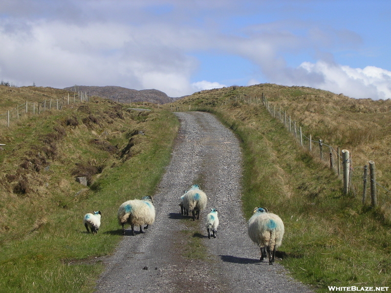 Bluestack Way, County Donegal, Ireland