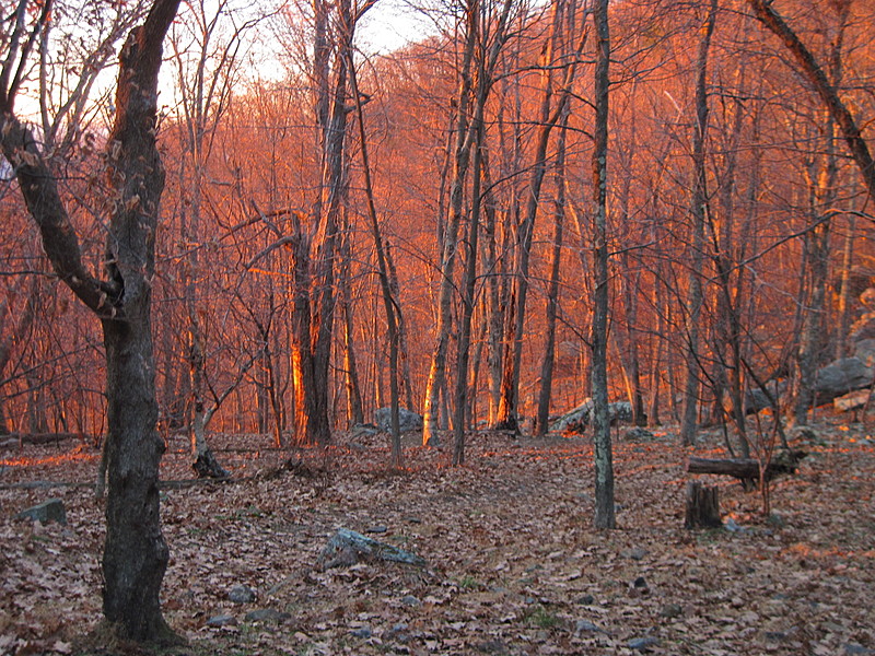 Shenandoah NP