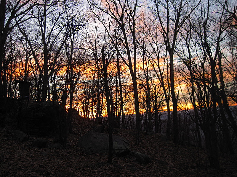 Earl;y morning in Shenandoah NP