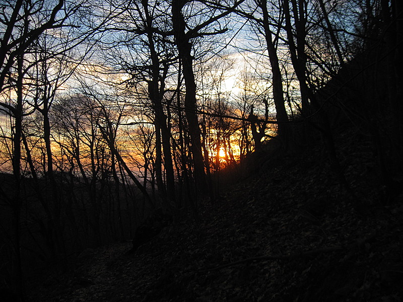 Early morning in Shenandoah NP