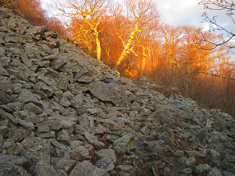 Shenandoah NP