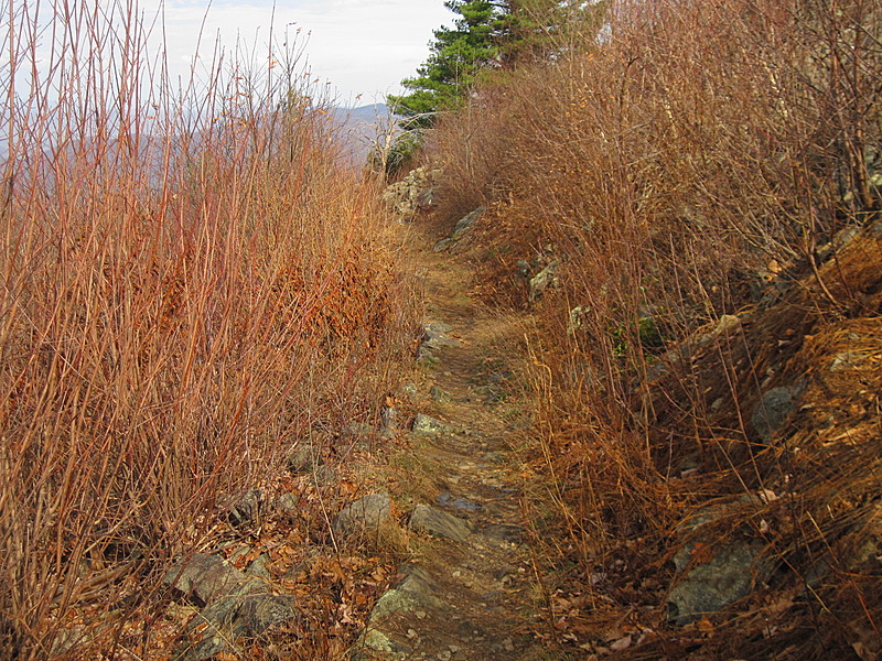 Shenandoah NP