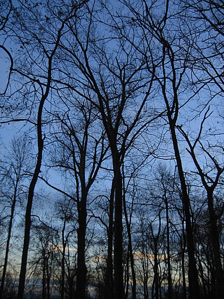 Alpenglow near Ed Garvey Shelter