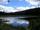 Beaver Pond by Cookerhiker in Views in Vermont