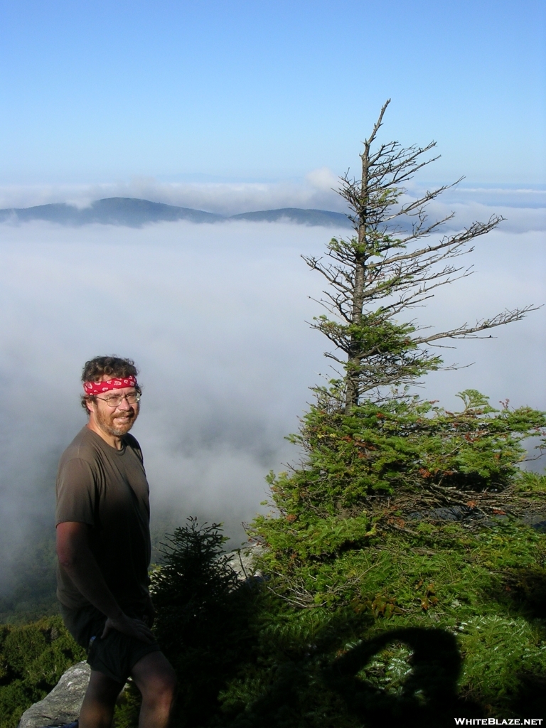 Cookerhiker at Laraway Lookout