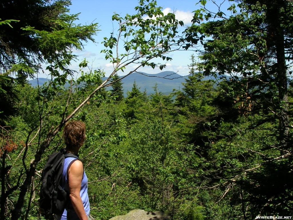 Deb gazing at view from Catskills