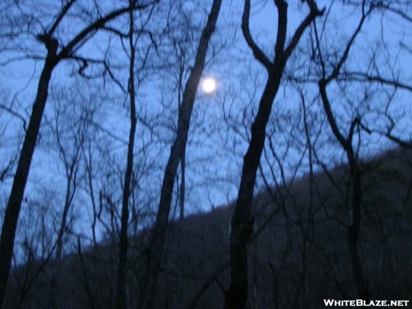 Early morning moon at Matts Creek Shelter