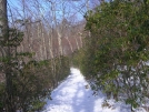 Shenandoah National Park in winter