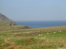 Dingle Way Ireland - highest point by Cookerhiker in Other Trails