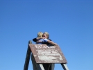 Scarf & Nails embrace atop Katahdin by Cookerhiker in Katahdin Gallery