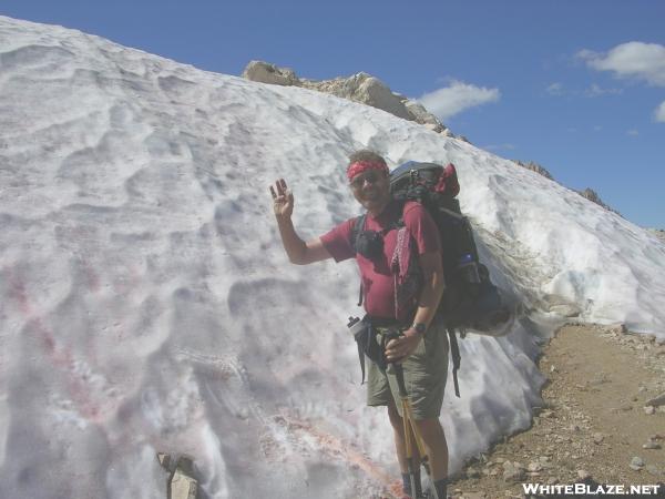 JMT - Snow blocks the Trail