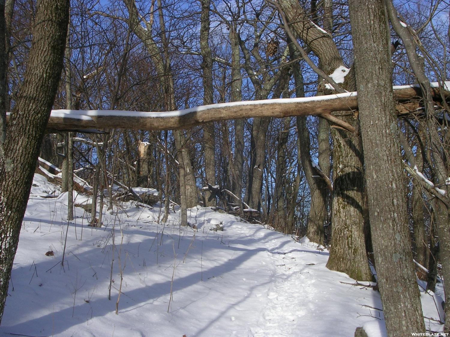 Shenandoah National Park in winter