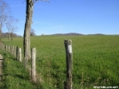 Trail through abandoned farm, TN by Cookerhiker in Trail & Blazes in North Carolina & Tennessee