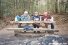 Wildcat, Northern Harrier, Cookerhiker