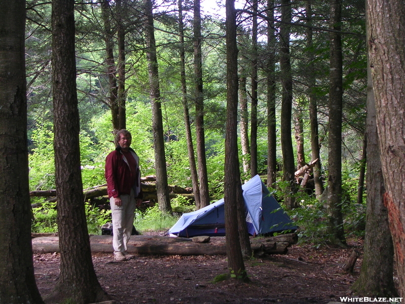 Cookerhiker At Campsite, Dolly Sods Wilderness