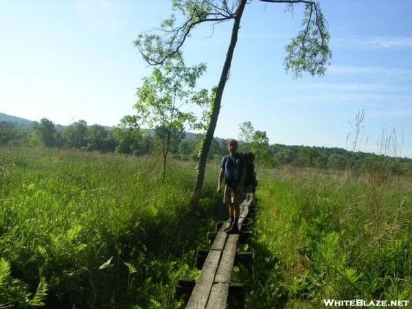 Cookerhiker approaches Rt. 22