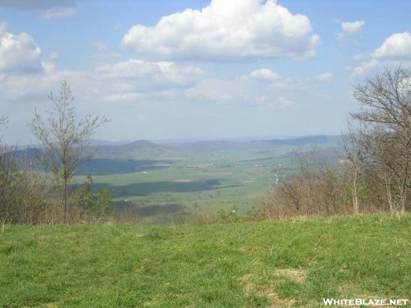 Along Chestnut Ridge