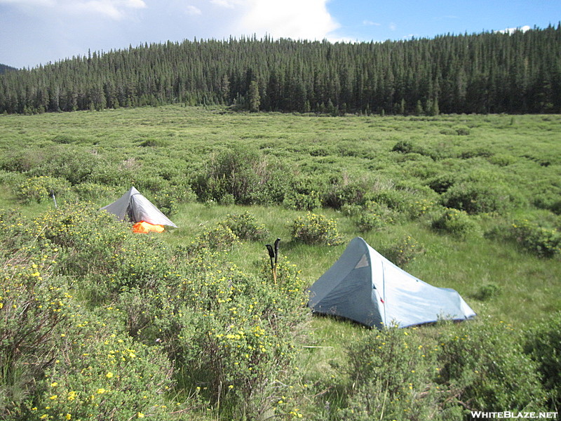 Lost Creek Meadow - Colorado Trail thruhike 2011