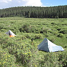 Lost Creek Meadow - Colorado Trail thruhike 2011 by Cookerhiker in Colorado Trail