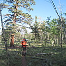Cookerhiker on Colorado Trail thruhike 2011 by Cookerhiker in Colorado Trail