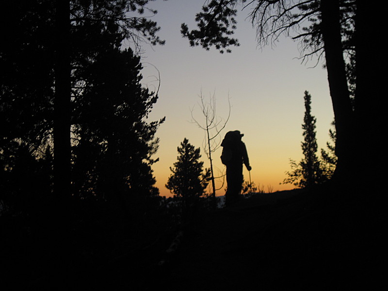 Colorado Trail - Northern Harrier's silhouette