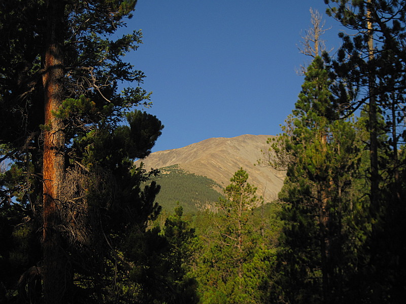 Colorado Trail - Mt. Shavano