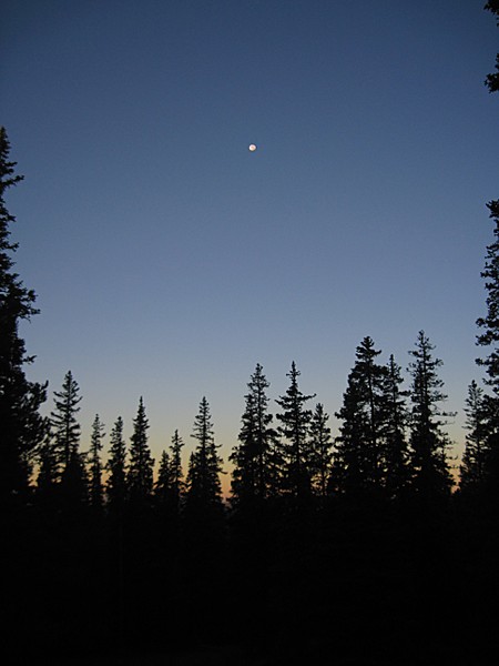 Early morning on Colorado Trail