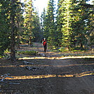 Northern Harrier hiking early morning by Cookerhiker in Colorado Trail