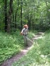 Cookerhiker clears Trail by Cookerhiker in Maintenence Workers