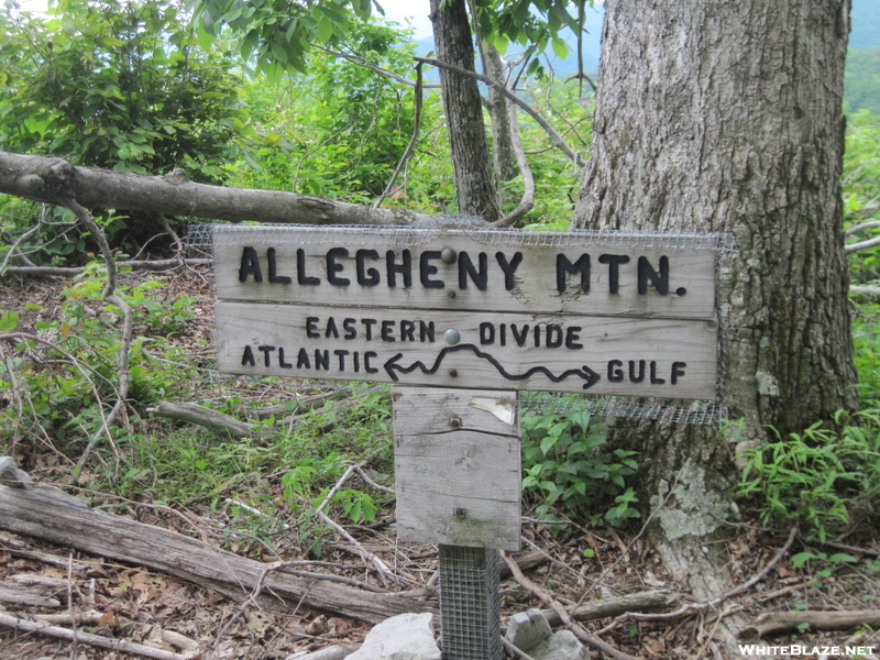 Crossing Eastern Continental Divide On Allegheny Trail