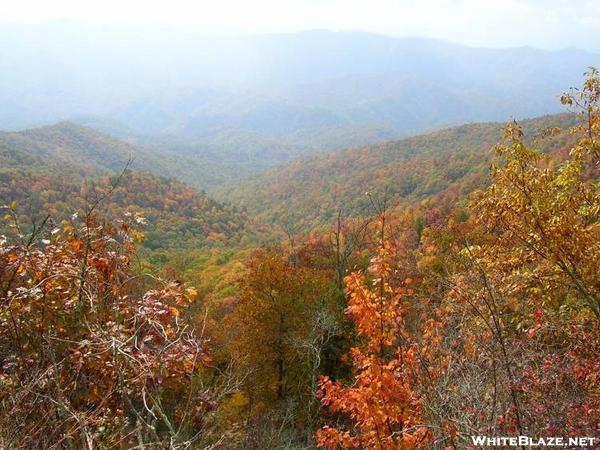 Fall colors near Fontana