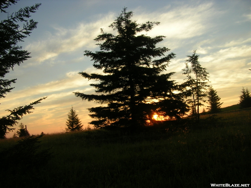 Sunrise At Dolly Sods Wilderness