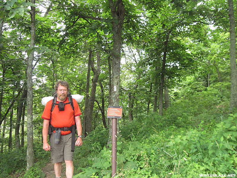 Along the trail in SNP