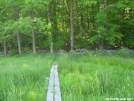 Planks in NY by Cookerhiker in Trail & Blazes in New Jersey & New York