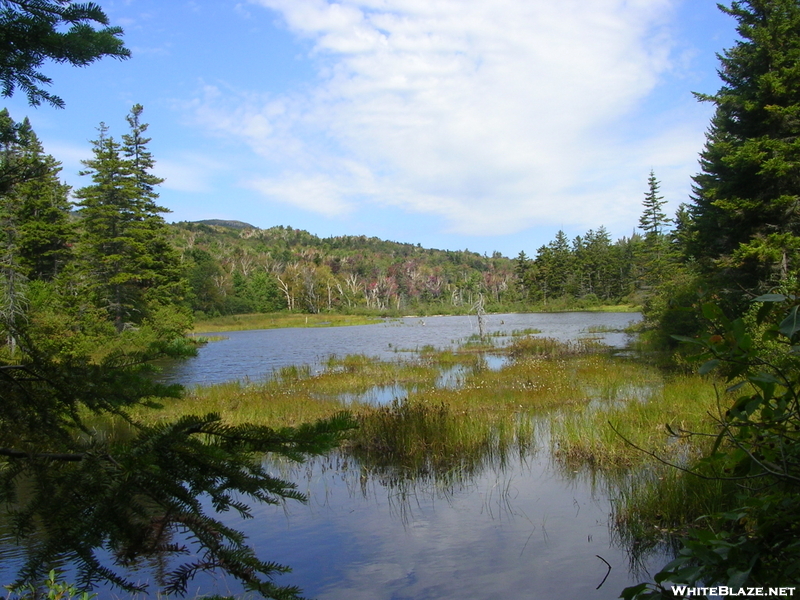 Pond On A-Z Trail