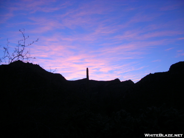 Arizona Trail - Solo Saguaro Pierces The Sunset
