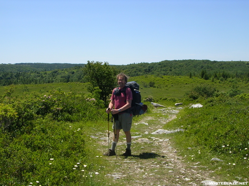 Starting Hike In Dolly Sods Wilderness