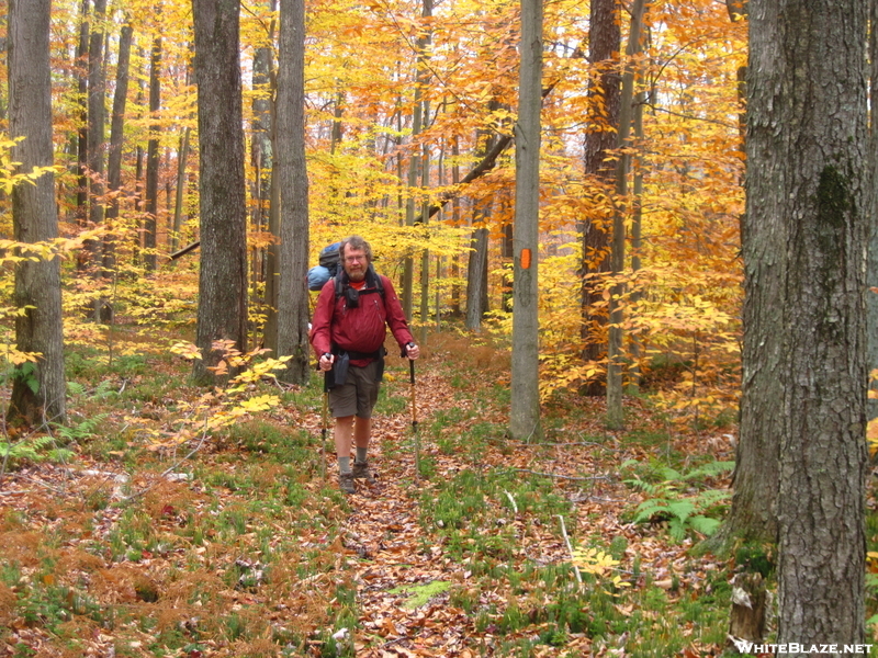 Cookerhiker Hiking The Susquehannock Trail, Pa