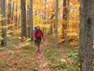 Cookerhiker Hiking The Susquehannock Trail, Pa