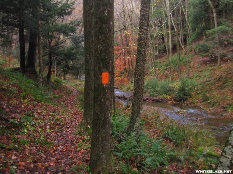 Orange Blaze Of Susquehannock Trail, Pa