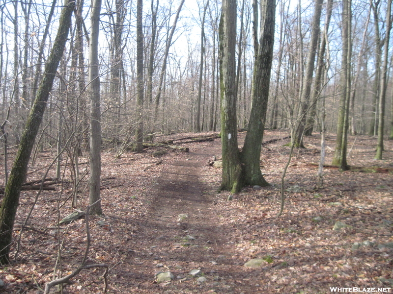 Trail In Maryland