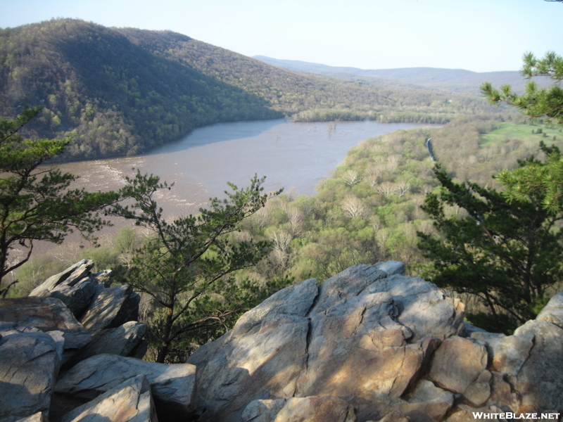 Potomac From Weverton Cliffs