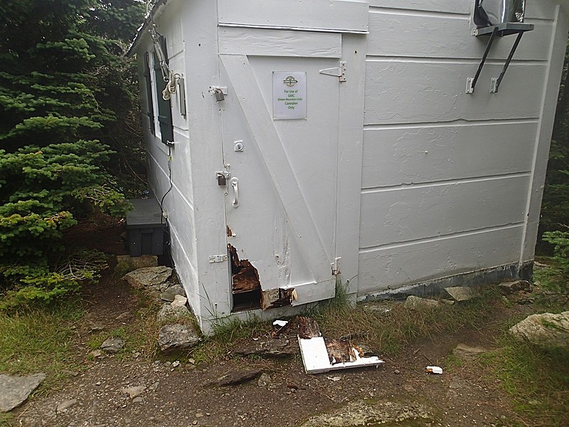 Bear Damage - Stratton Mtn Caretaker Hut