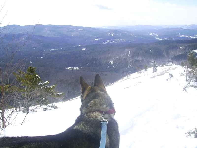 Welch, Dickey Loop Trail Winter Hike, Waterville Valley, Nh