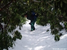 Yahtzee in the Rhodies by ganj in Thru - Hikers