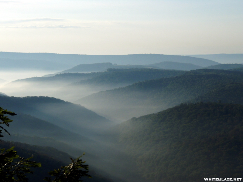 Morning Along The Trail In Big Savage State Forest.