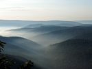 Morning Along The Trail In Big Savage State Forest.