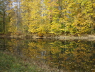 Fall Unknown Trail Ashtabula County Ohio.