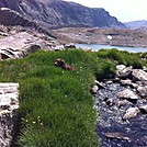 Big Horn Mtn, Wyoming