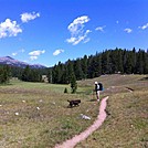 Big Horn Mtn, Wyoming by rwhat in Other Trails